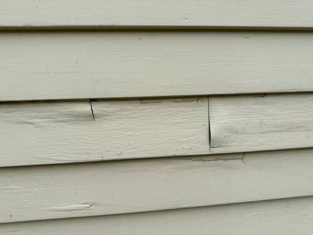 Shed Removal in West Ishpeming, MI